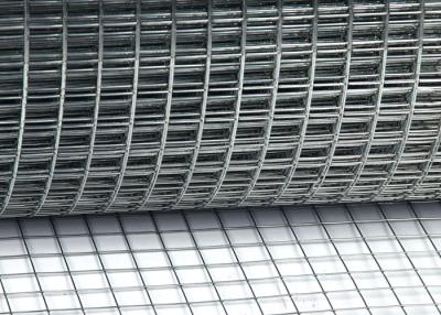 China High Quality Hot Dipped Galvanized Welded Wire Mesh Factory Supply Cheap Price for sale
