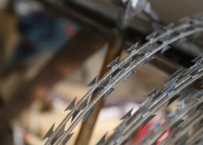 Cina Recinzione di sicurezza a filo spinato a rasoio incrociato lunghezza personalizzata in borsa tessuta in vendita