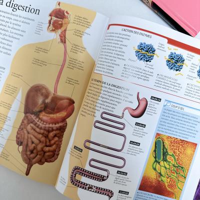 China paper & High Quality Custom Cardboard Educational Activity Board Book Human Body Book For Study for sale