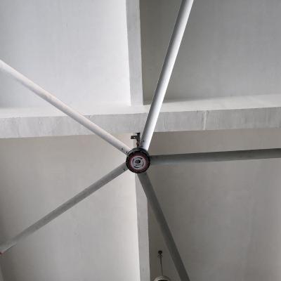 China 150 m ² national factory price big donkey fan hvls industrial ceiling fan for cow farm for sale