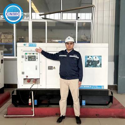 China 60hz Driefasige CUMMINS Dieselgenerator Open type 200kw 250kva Dieselgenerator Te koop