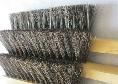 China Mixed Color Bathroom Floor Cleaning Brush With Horse Mane Hair Mixed PP 7 CM for sale