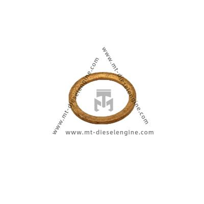 China Sealing Ring 01118659 04260204 0111 8659 0426 0204 1118659 4260204 For Deutz TCD4.1 Engine for sale