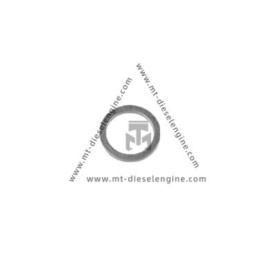 China Sealing Ring 01118672 0111 8672 1118672 For Deutz TCD4.1 Engine for sale