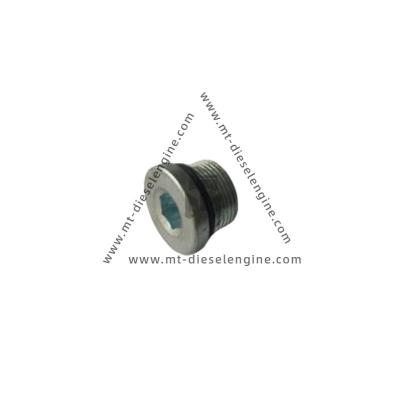 China Screw Plug 01148158 01148136 0114 8158 0114 8136 1148158 1148136 For Deutz TCD4.1 Engine for sale