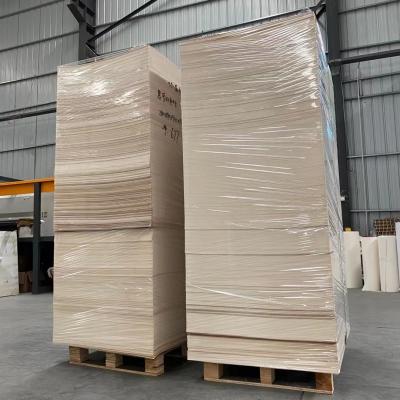 Chine Le PE 150g~300g qui respecte l'environnement a enduit le papier en matière première de tasse de thé de papier de feuille à vendre