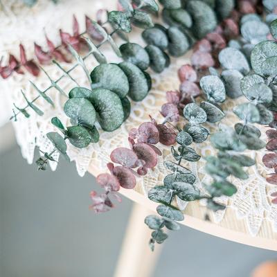 China Wholesale Decoration Eucalyptus Leaf Preserved Red Green Flower Real Touch Wedding Decoration 20-60cm for sale