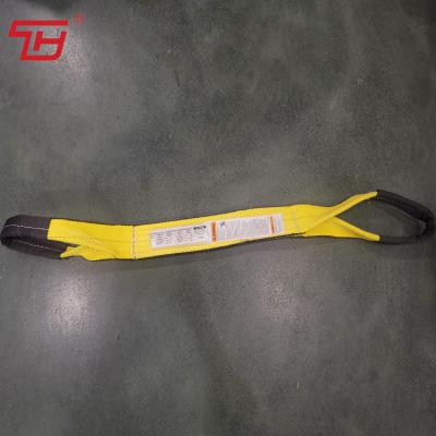 Κίνα 9800 μαύρη άκρη #/inch 2Ply που αντιμετωπίζεται και στα δύο στριμμένα σφεντόνα μάτια Ιστού πολυεστέρα πλευρών εύχρηστα προς πώληση