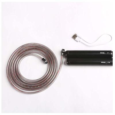 China Fitness Exercise New Design PC Material Speed Jump Rope With Led Light And Counter In The Sky for sale