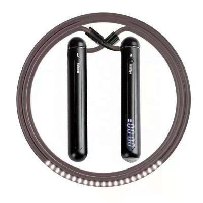 China Fitness Exercise Professional Customization Weighted Adjustable Handle Weighted Smart Digital Indoor And Outdoor PVC Boarding Jump Rope With Copyright for sale