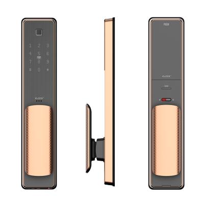China Low Power Consumption Voice Smart Home Delight Door K300 Digital Biometric Fingerprint Smart Door Lock for sale