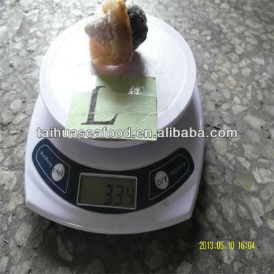 China FROZEN Conch Cooked Meat For Sale for sale