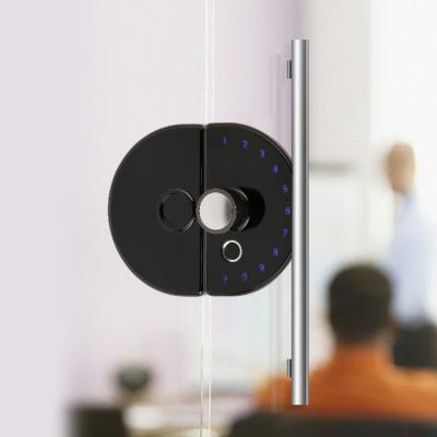China Aluminum Alloy Fingerprint Door LockSmart Digital Glass Electronic Lock With Time Attendance Access Control Function for sale