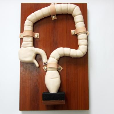 Cina Allenamento Sigmoidoscopico Umano con Vivid Large Intestine Model e Life Size Simulator in vendita