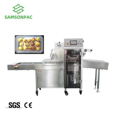 China Food High Speed Modified Atmosphere Packaging Machine , Fruit Vacuum Packing Machine for sale