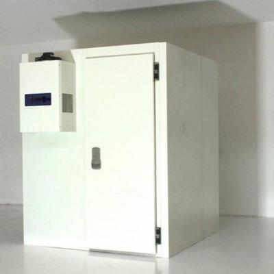Chine Réfrigération modulaire R22 Chambre réfrigérée à froid à vendre