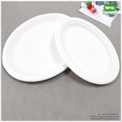 China Biodegradable 10/12 Inch Oval Platters Made From Natural Sugarcane Pulp- Bamboo Dinner Plate Melamine Dinner Plate for sale