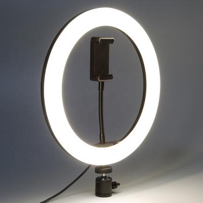 China 10 Inch Ring Light with Phone Holder 3