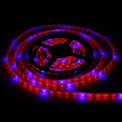 China Full specture Waterproof 300LEDS 72W SMD5050 Hydroponic Systems Led Plant grow light for sale