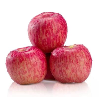Chine Fresh Red Fuji Apple for sale from China with high quality and low price à vendre