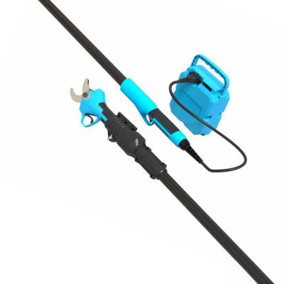 China Anti-slip 35mm handle 36V electric shears with 2m extension telescopic pole for sale