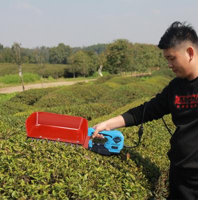 China Tea Leaf Yodoo Lithium Battery Tea Plucking Machine Without Battery for sale