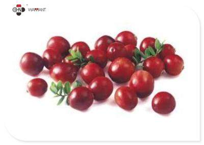 China 10:1 Food Grade Water Soluble Cranberry Extract Powder for sale