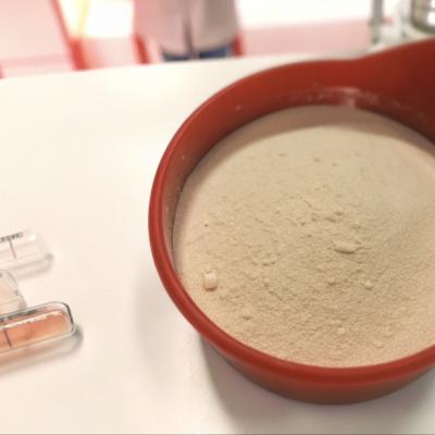 China Parabacteroides Distasonis PD001 pasteurizado / Pós-bióticos / Pó branco a cinzento utilizado em alimentos para animais/Produto de melhor qualidade à venda