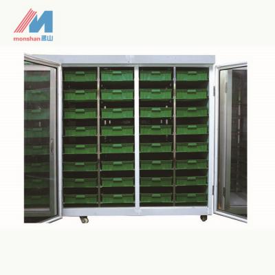 Chine Machine quotidienne de germination de graine du système ODM de germination de fourrage du sorgho 200kg à vendre
