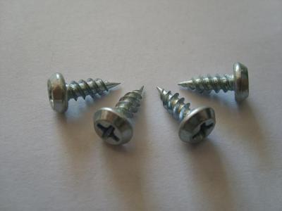China Pan framing head Self tapping screw for sale