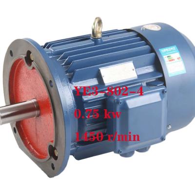China Widely Used 0.75 Kw 380V YE3 Series Electric Motor Variable Speed Motor 3 Phase Asynchronous Electric Motor for sale