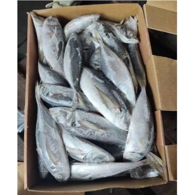 China for sale