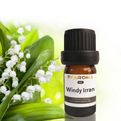 China Fragancia sostenible 500ml del ambientador de aire del coche de Ilan Aroma Diffuser Essential Oil en venta