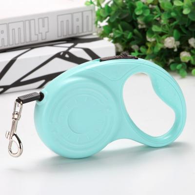 China Quick Release Factory EN Sale Automatic Pet Leash Dog Leash Outdoor Pet Walking Accessories for sale