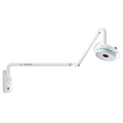 China F3AL250V Medical cold light light source lamps shadowproof wall mounted shadowless operating lamp for dental clinic for sale