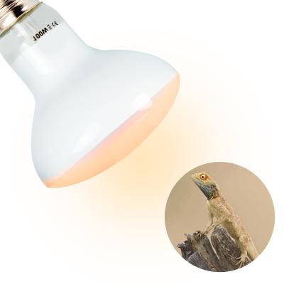 China Viable Kitten Chickens Reptile Heat Lamp Dome For Vitamin D for sale