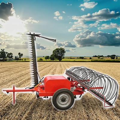 China Recomendação Quente Máquina de Tapear Erva da Fazenda Cortador de Ervas Para Venda Máquina de Tireirão de feno à venda