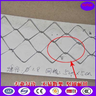 China cerca galvanizada 50x50m m de la alambrada en venta