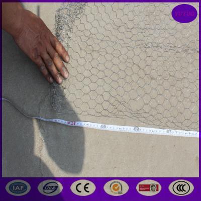 China 25m m, tela metálica de pollo del acero inoxidable de 50m m, malla de alambre hexagonal de la jaula del conejo en venta