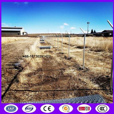 China Low cost silver color iron chain link mesh for encircling wasteland with high recycling value and easy installing en venta