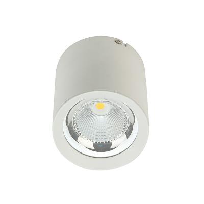 Chine L'aluminium 20° 45° Surface ronde montée à l'envers 2700K-6500K à vendre