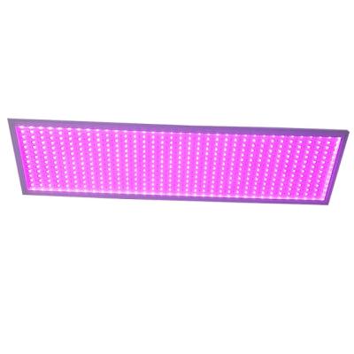 Chine 100W LED Grow Lights Full Spectrum 120° Angle du faisceau avec une intensité lumineuse élevée à vendre