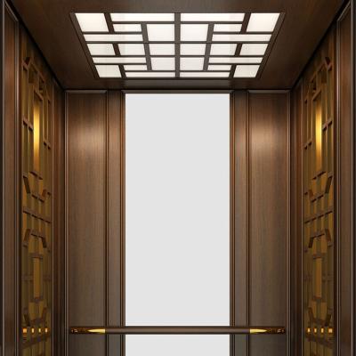 China Modern CWidely Used Quality Safety Low Noise Mini Home Elevator Mini Home Elevator for sale