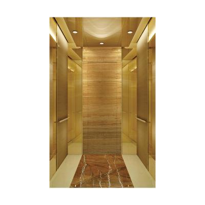 China Modern high quality indoor and outdoor residential elevator for hotel sales for sale