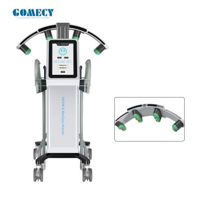 China Gomecy 2025 mühelose Fettabbau: Schmerzlose Maxlipo 10d Laser + EMS Physiotherapie Maschine zu verkaufen