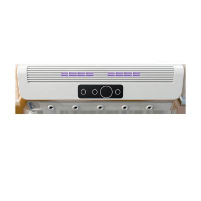 China Hotel Wholesale Hotel Lobby Decelling Scent Diffuser System Wall Mounted UV-C Air Purifier Scent Machine for sale