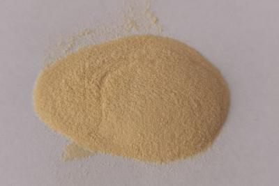 China Anti-anxiety, Improve Immune system Instant Ashwagandha Extract Debittered for sale