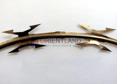 China Het extreme Prikkeldraad van het Weerstandsscheermes, Dubbele het Scheermesdraad van de Harpoenveiligheid Te koop