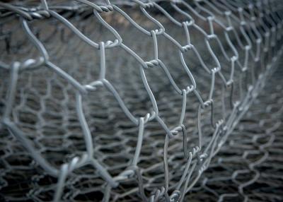 Chine Paniers tissés de Gabion de conservation de l'eau de Grey Colour Pvc Coated Soil à vendre