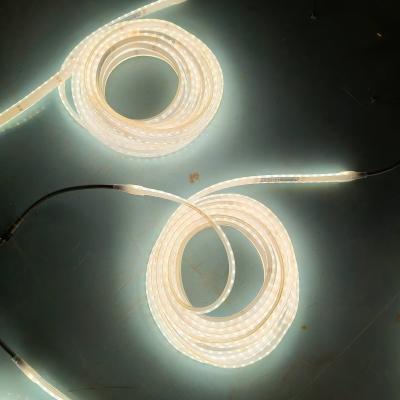 중국 터널 LED 스트립 라이트 IP68 폭발 방지 SMD2835 8W/m 70LED 3000K-10000K 830lm AC210V-240V -40°C~80°C 식품용 실리콘 판매용